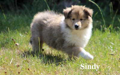 Sindy - 7. Woche